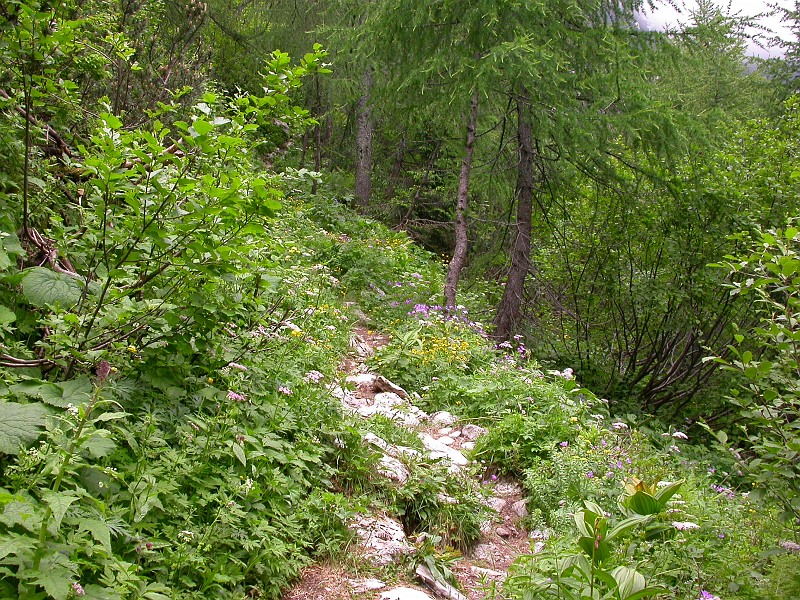 Climbing Mount Crna Prst 2.JPG